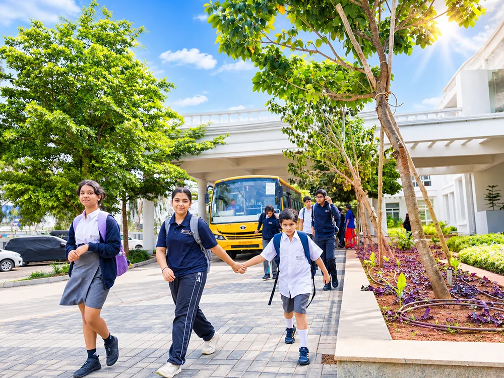 Sunlit School Campus Walkway
