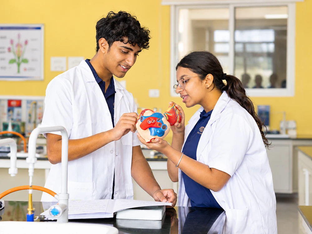 Grades 9 and 10 | Cambridge IGCSE